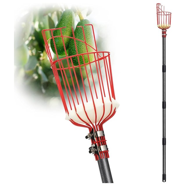 Telescoping Fruit Picker
