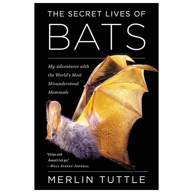 The Secret Lives of Bats