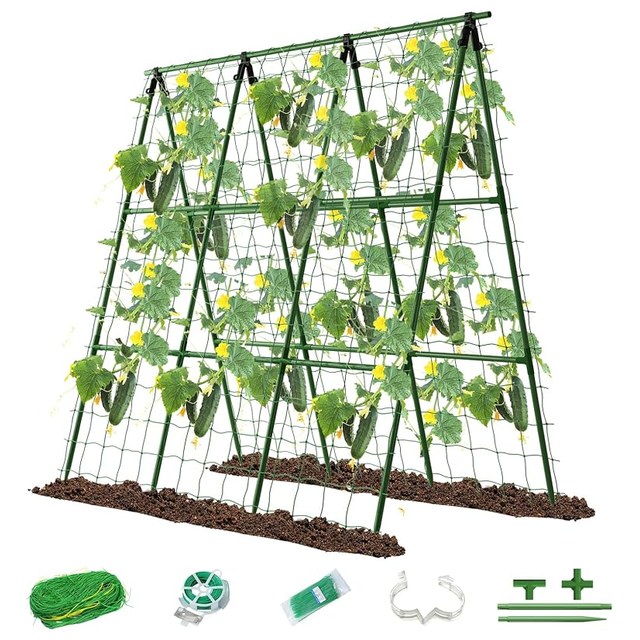 Arch Trellis for Raised Beds