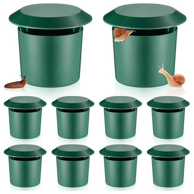 Slug Beer Traps, 10