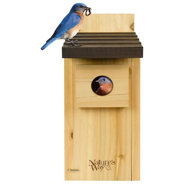 Nature's Way Cedar Bluebird House