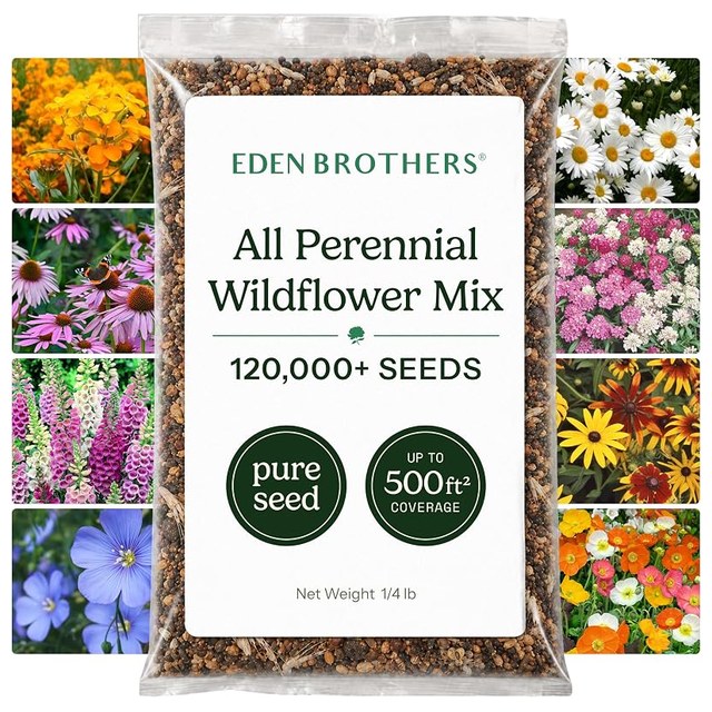 Perennial Wildflower Mix, 1/4 lb