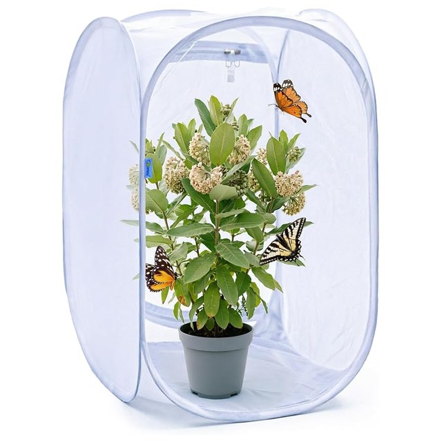 Pop-Up Butterfly Habitat