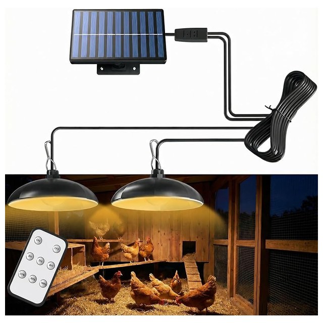 Solar Coop Light with Timer