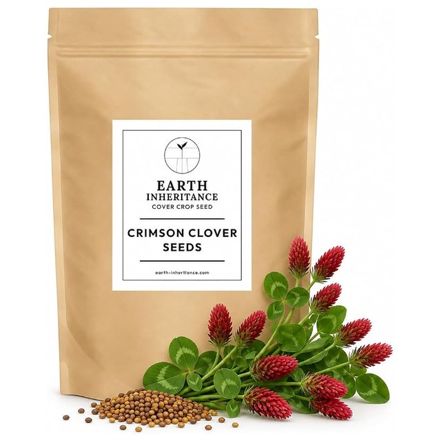 Crimson Clover Seed, 5 lb