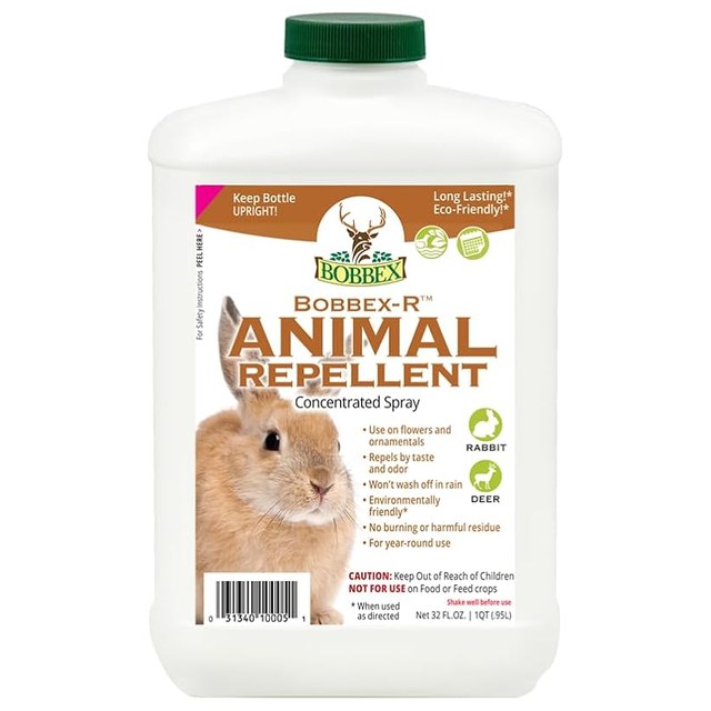 Bobbex Concentrate, 32 oz