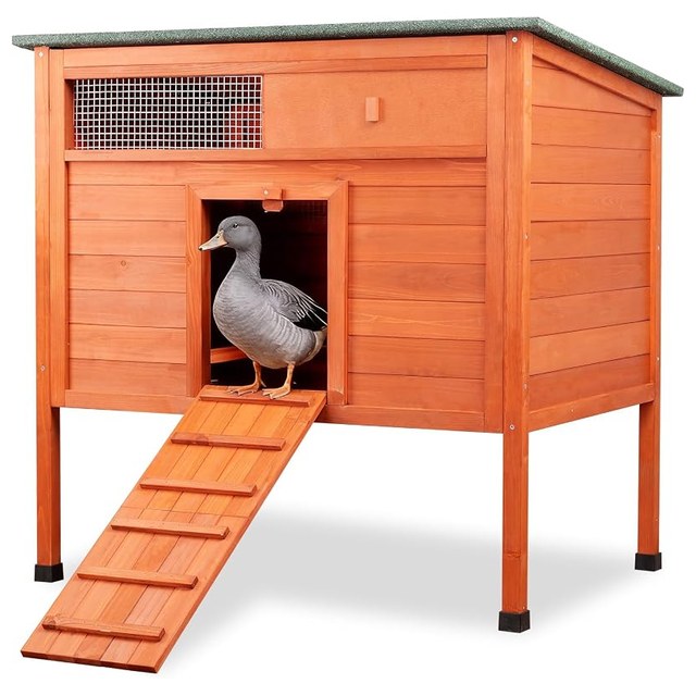 Wooden Duck House