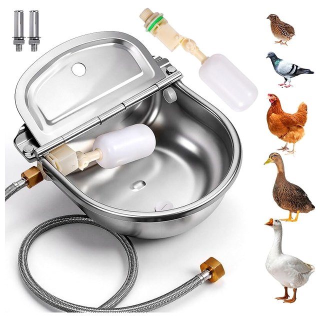 No-Mess Duck Waterer