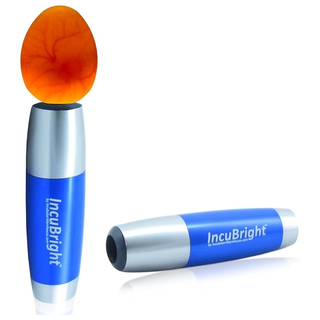 Ultra-Bright LED Egg Candler