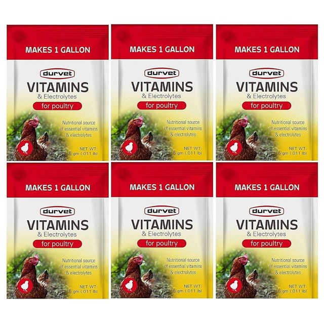 Durvet Electrolytes, 6-Pack