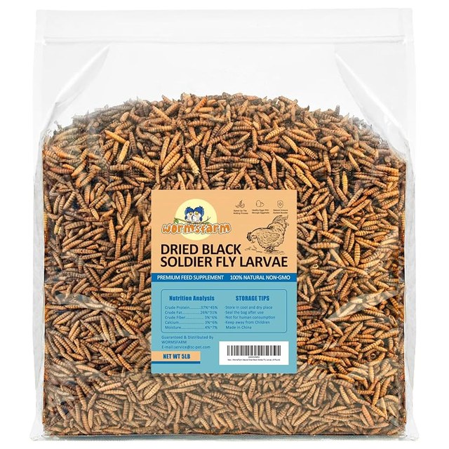 Soldier Fly Larvae, 5 lb