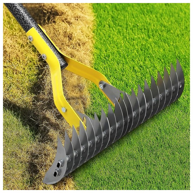 Dual-Action Thatch Rake