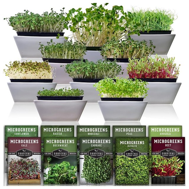 Microgreens Assortment, 10 Types
