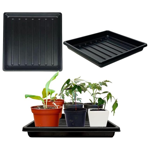 1010 Trays, 10-Pack