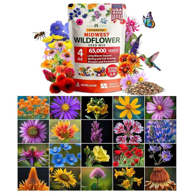 Regional Wildflower Meadow Mix