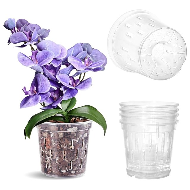 Clear Slotted Orchid Pots, 4