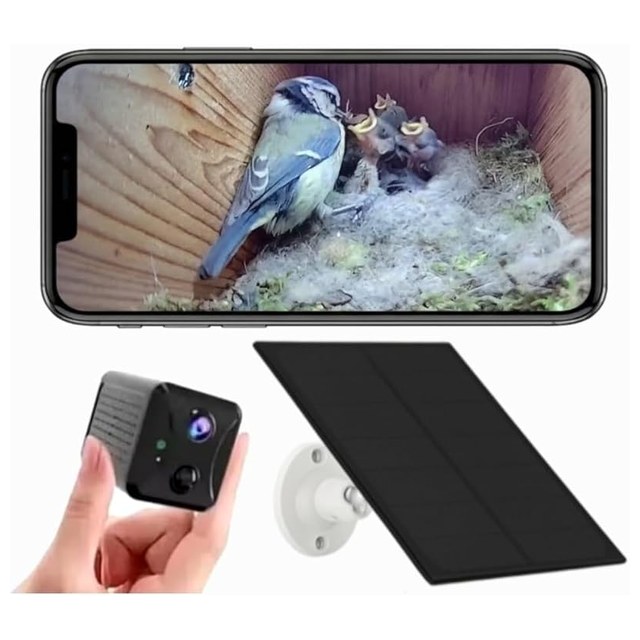 Solar WiFi Nest Box Camera