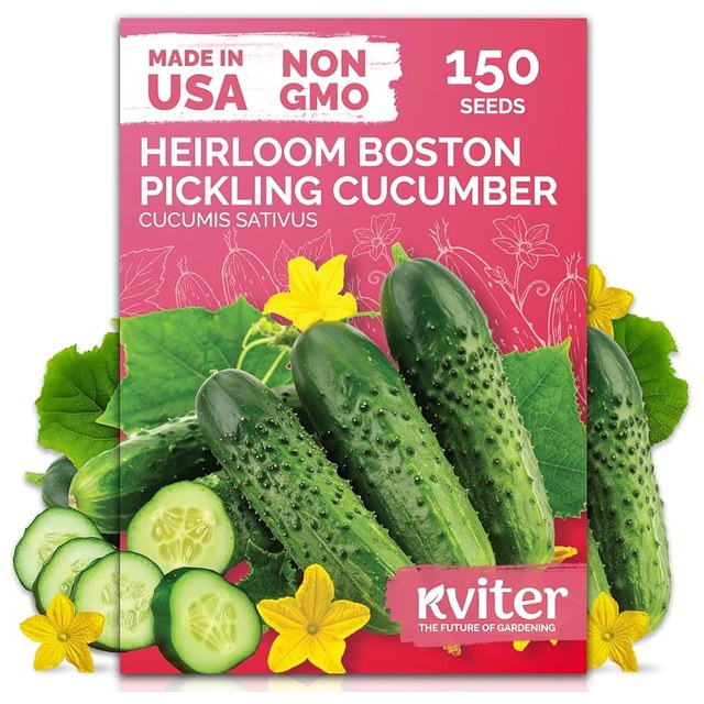 Boston Pickling Cucumber Seeds