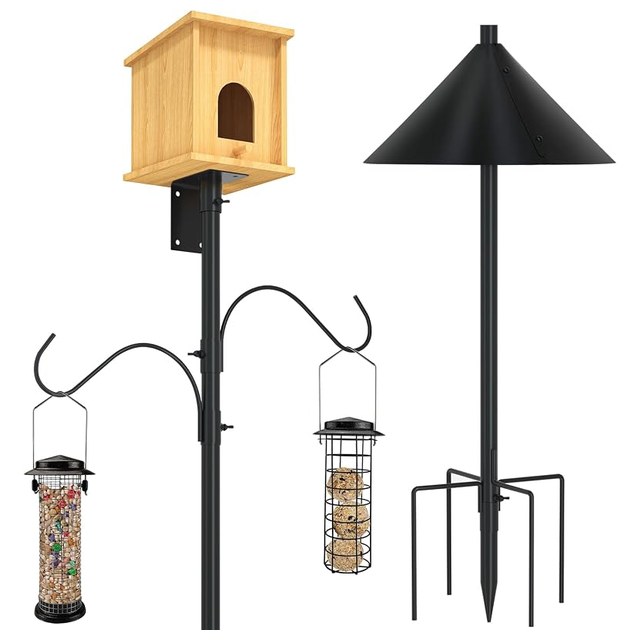 Birdhouse Pole with Baffle