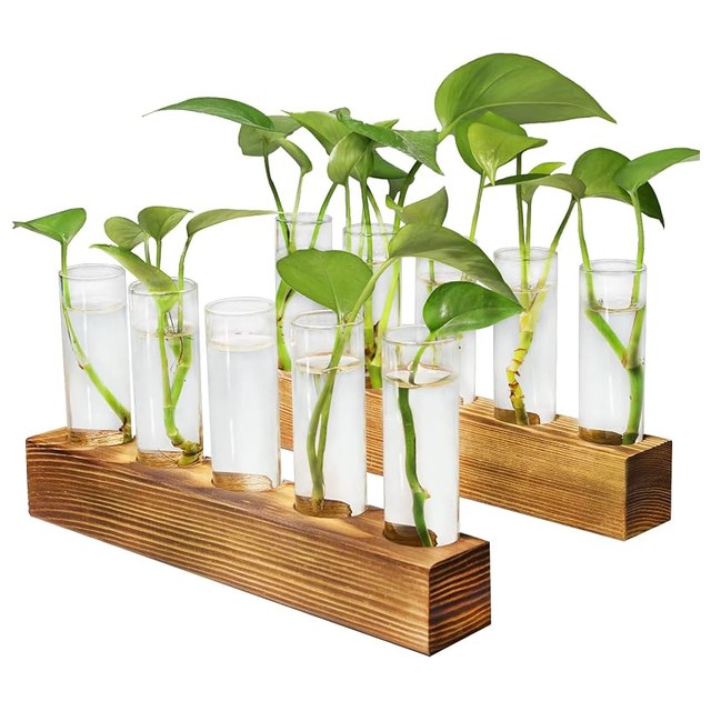 10-Tube Propagation Station