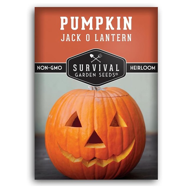 Howden Jack-O'-Lantern Seeds