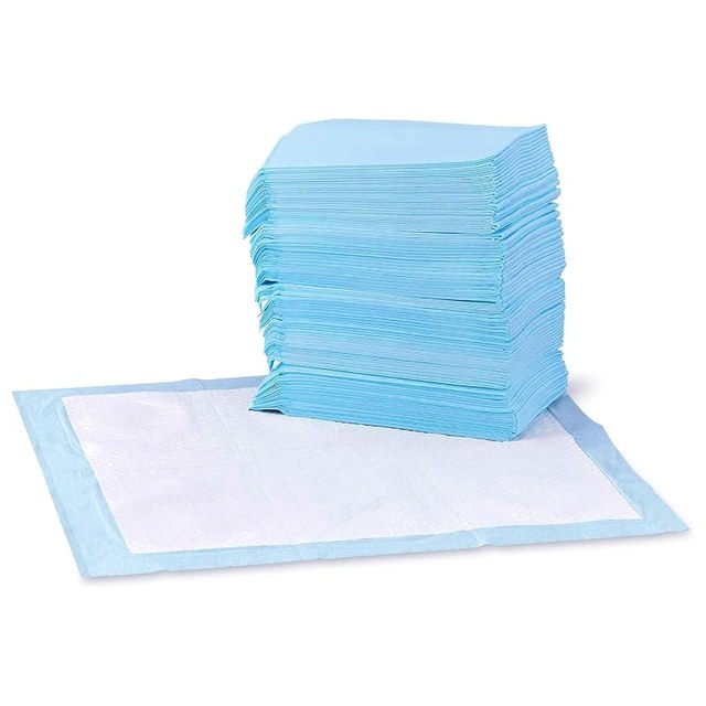 Puppy Pads, 100-Count