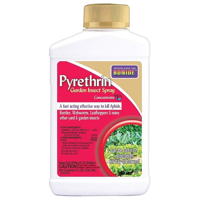 Bonide Pyrethrin Concentrate