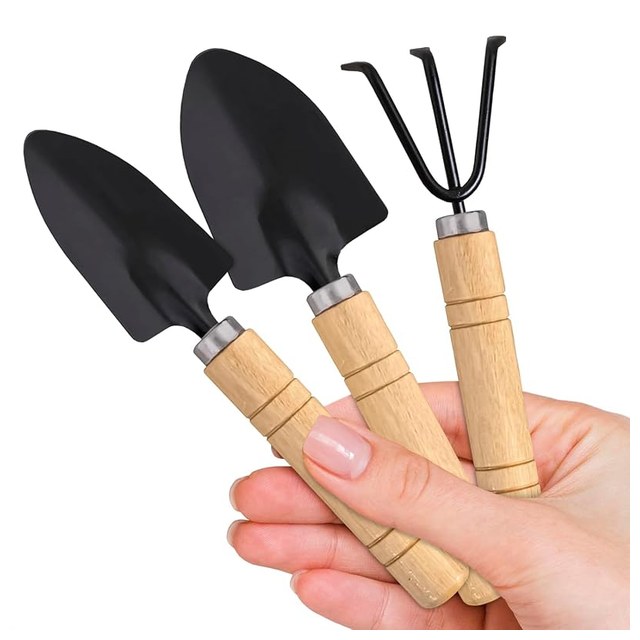 Houseplant Mini Tool Set