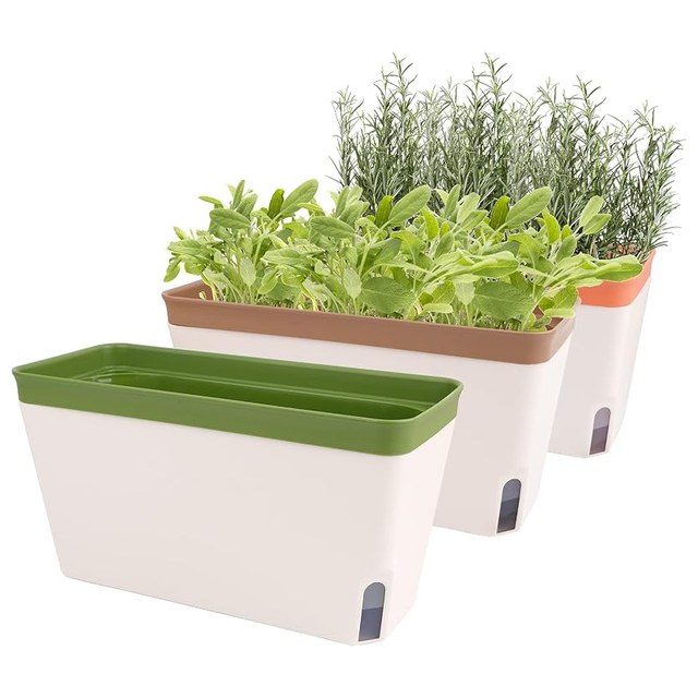 Self-Watering Windowsill Set, 3