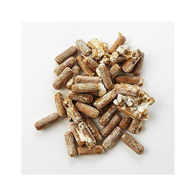 Shiitake Plug Spawn, 100 count