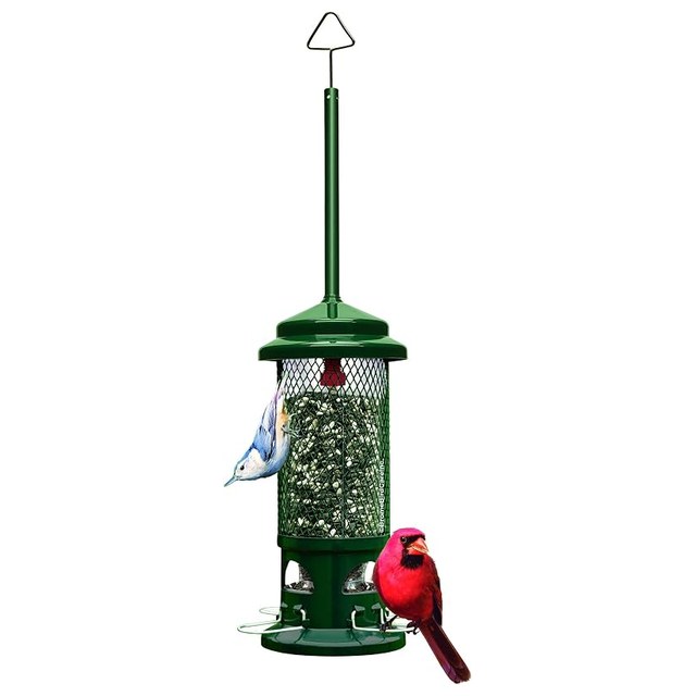 Squirrel Buster Standard
