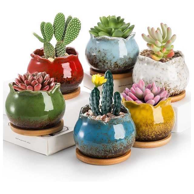 Glazed Succulent Pots, 6