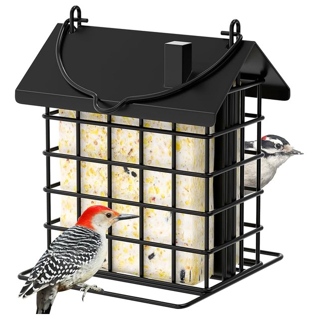 All-Metal Double Suet Feeder