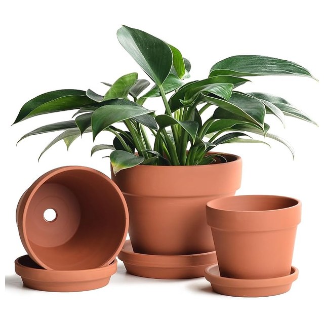 Terracotta Pots, 5/6/7 in