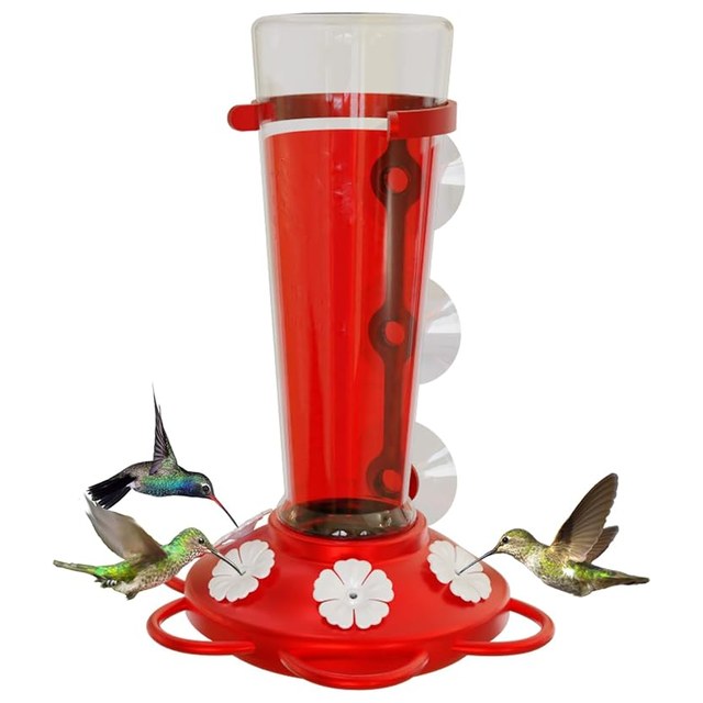 Window Hummingbird Feeder